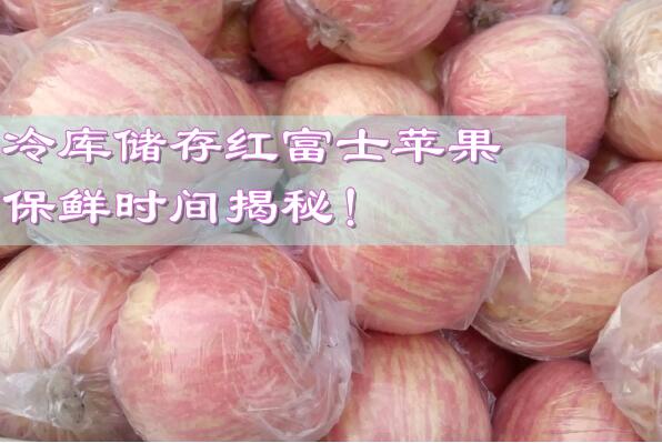冷庫儲存紅富士蘋果，保鮮時間揭秘!