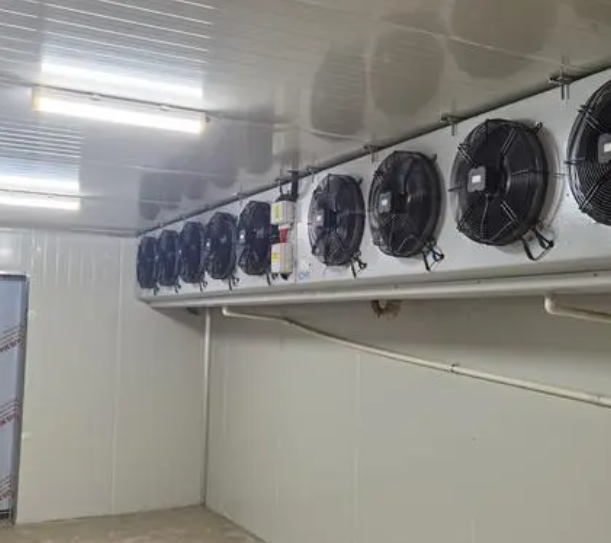 速凍冷庫的優點有哪些？_上海開冉制冷