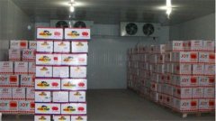 我想建個水果保鮮冷庫，需要考慮哪些方面問題