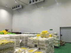 1000平方米果蔬冷庫安裝需要多少錢？