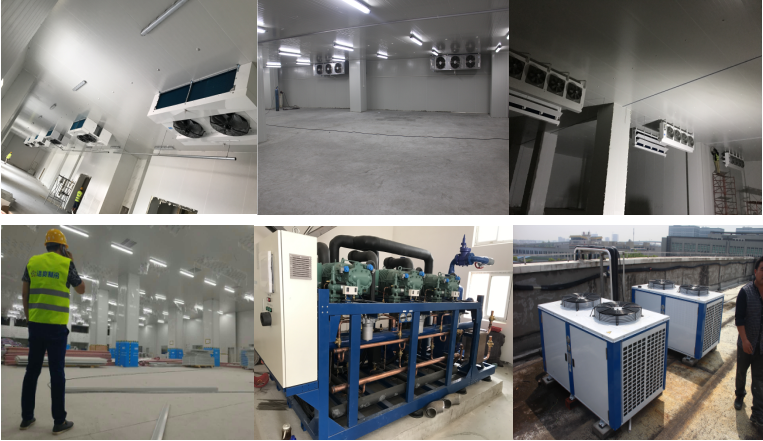 http://m.szdhydn.cn/gongchenganli/shipin/1230.html