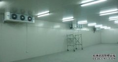 底下室建10000平冷凍庫(kù)需要總投資多少錢